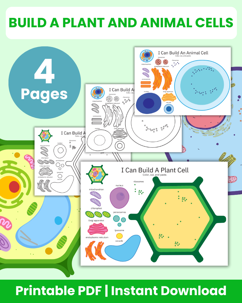 Build a Plant and Animal Cells Printable
