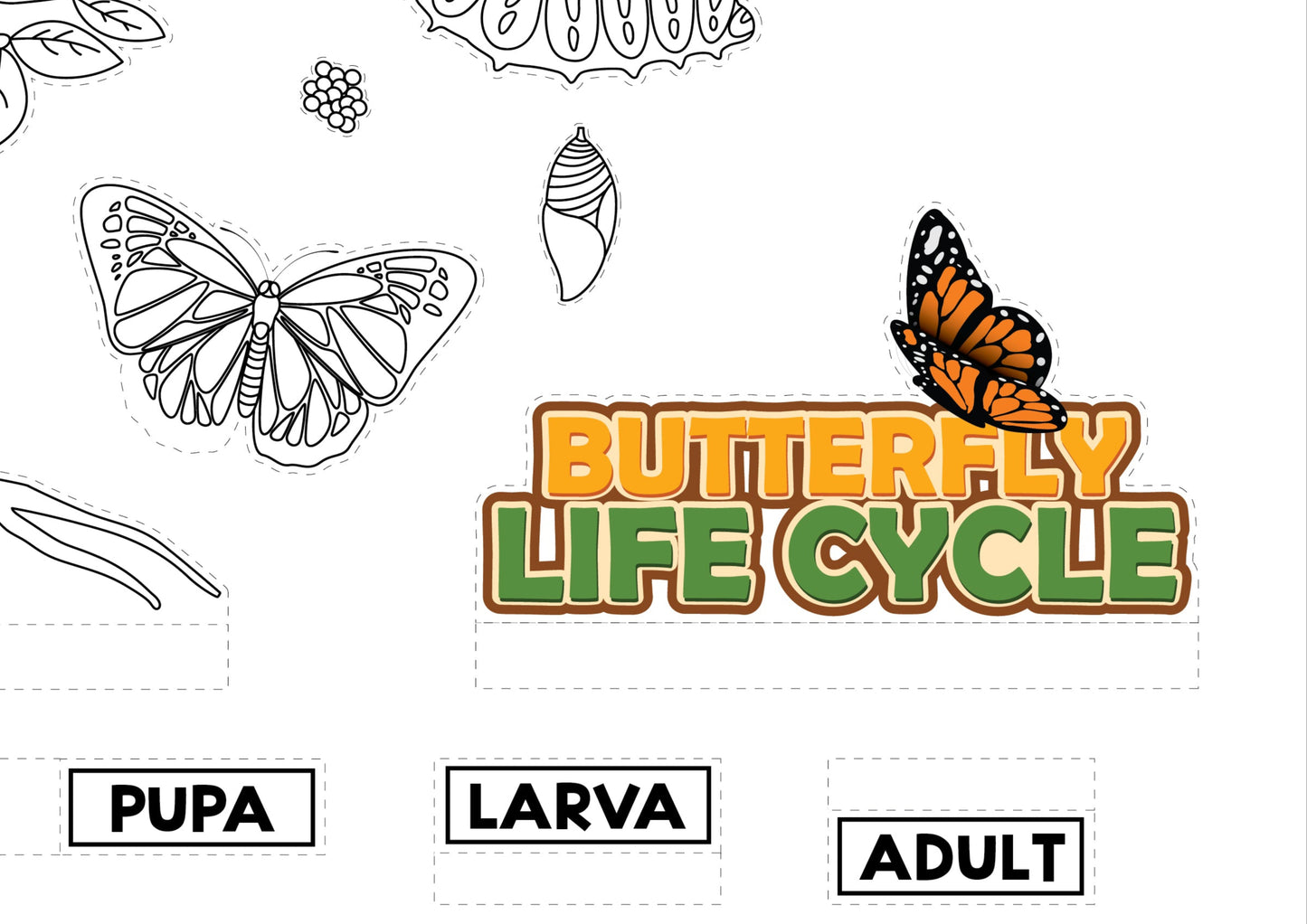 3-D Butterfly Diorama Printable