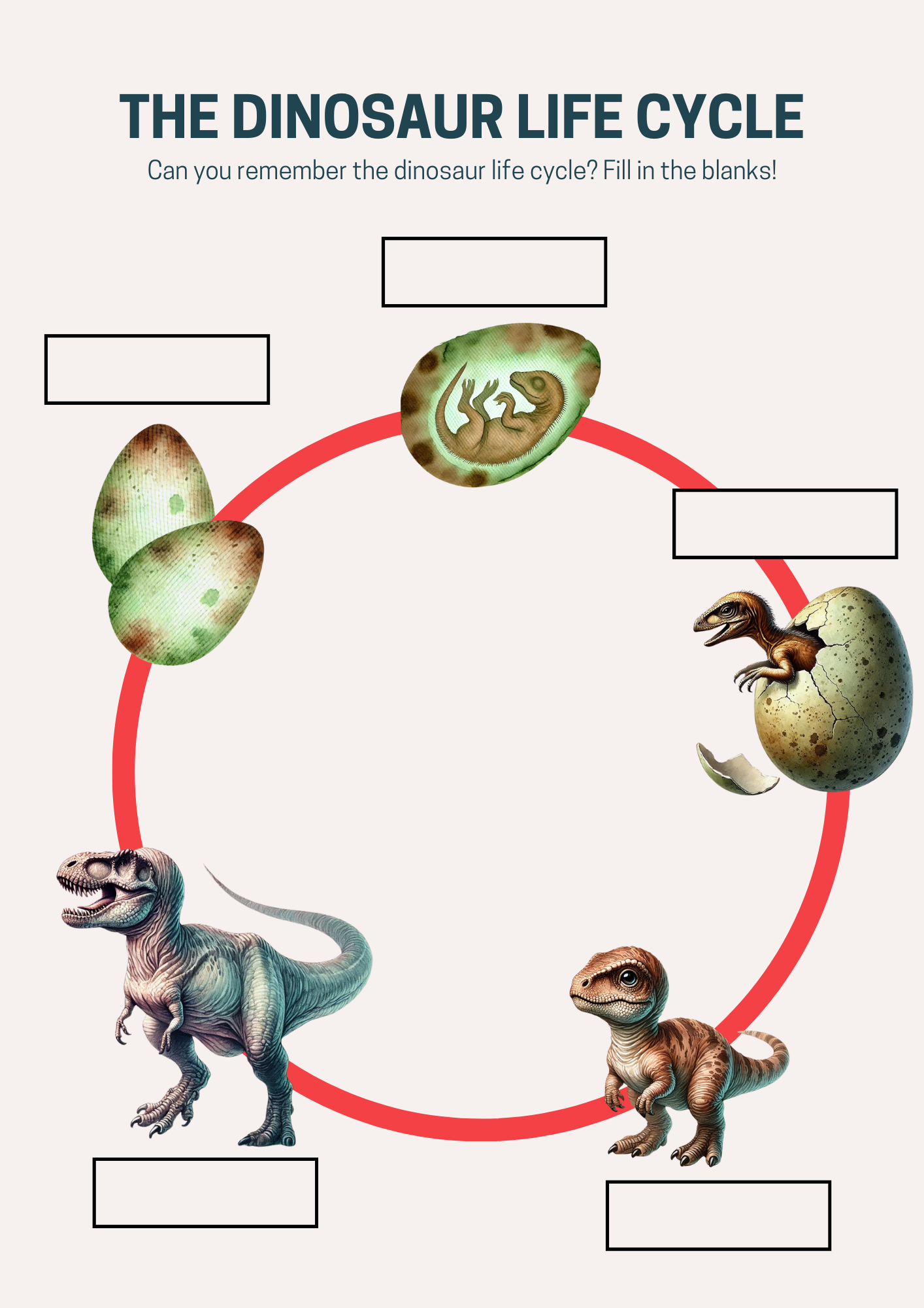 dinosaur life cycle printables