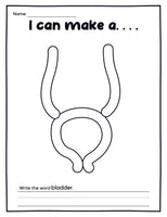 Human Organs Playdough Mats (16 Pages total)