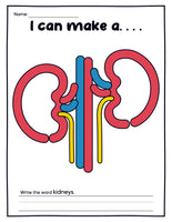 Human Organs Playdough Mats (16 Pages total)