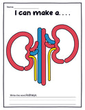 Human Organs Playdough Mats (16 Pages total)