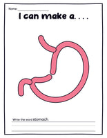 Human Organs Playdough Mats (16 Pages total)
