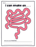 Human Organs Playdough Mats (16 Pages total)