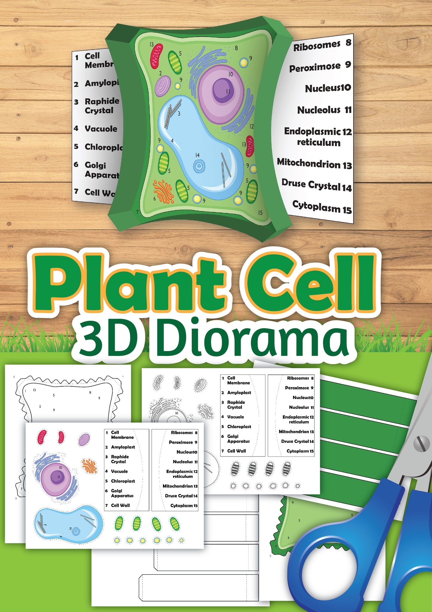 Plant Cell Diorama 3D Diorama Printable (6 Pages Total)