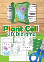Plant Cell Diorama 3D Diorama Printable (6 Pages Total)