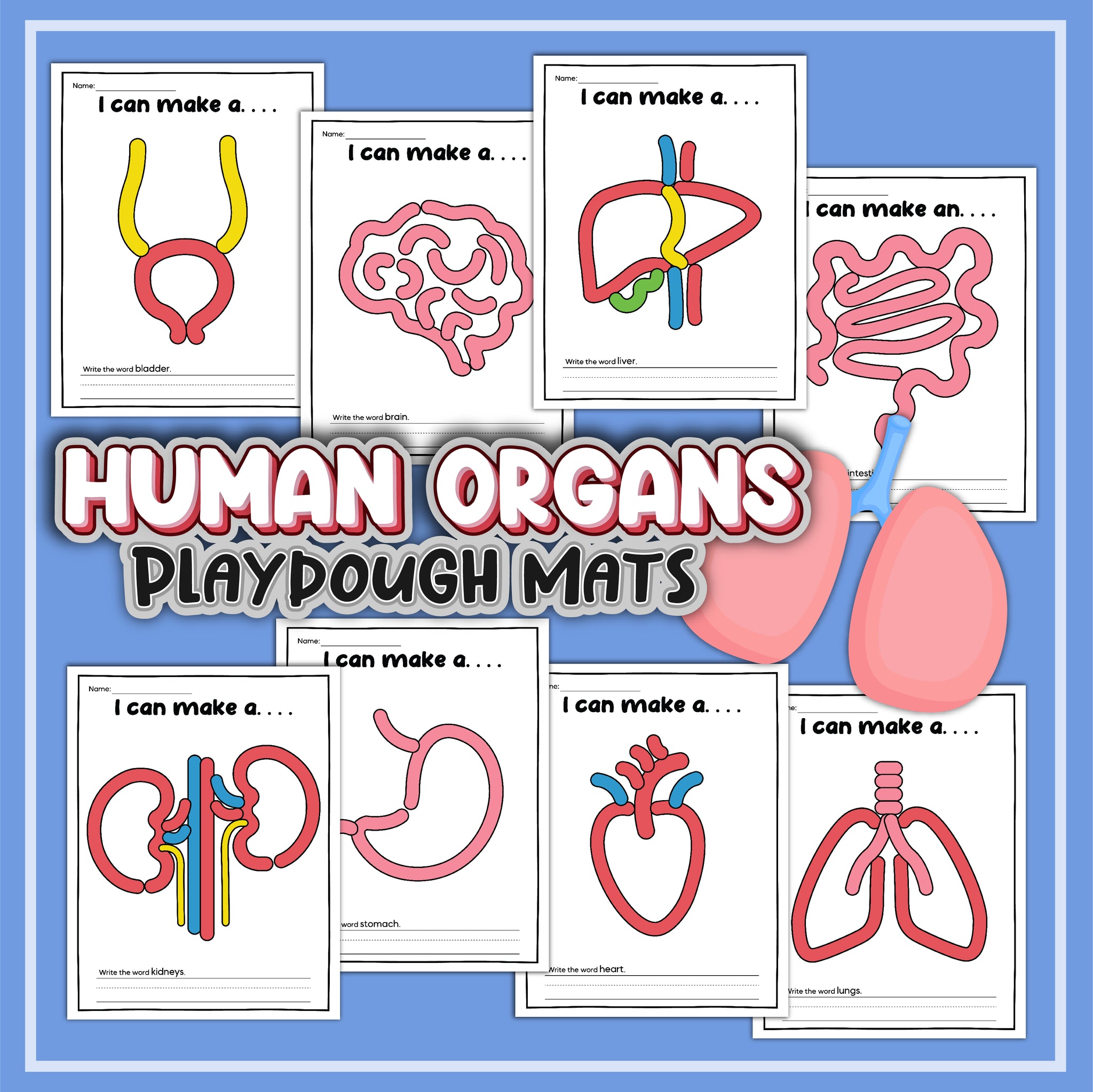 Human Organ Playdough Mats