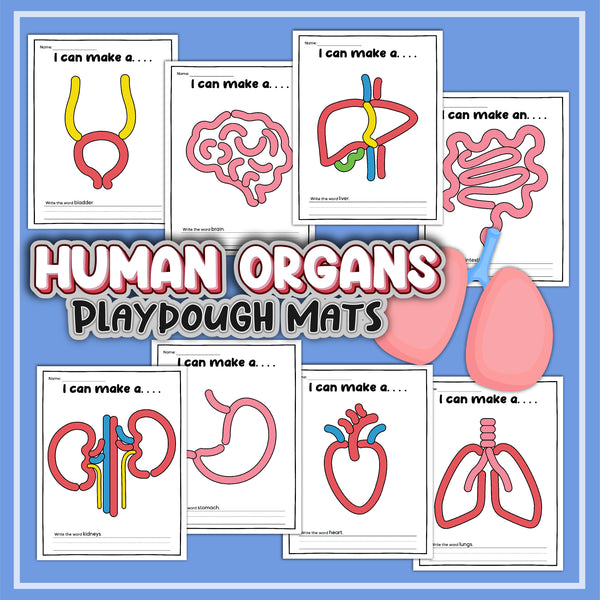 Human Organs Playdough Mats (16 Pages total)