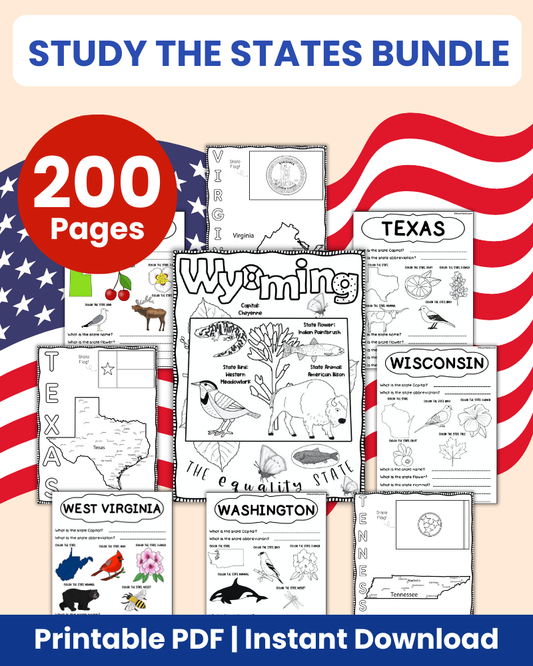Study the States Printable bundle