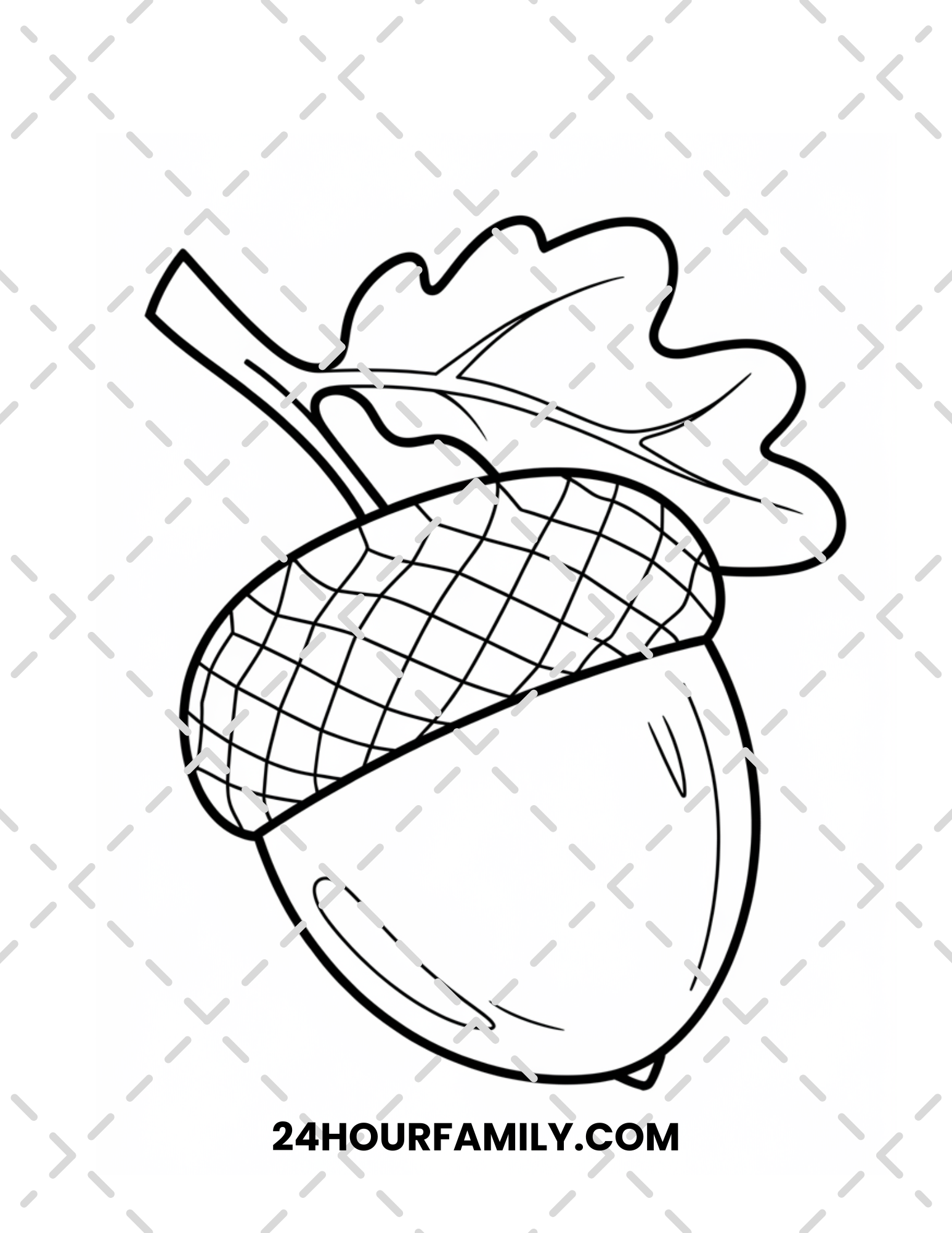 acorn coloring pages