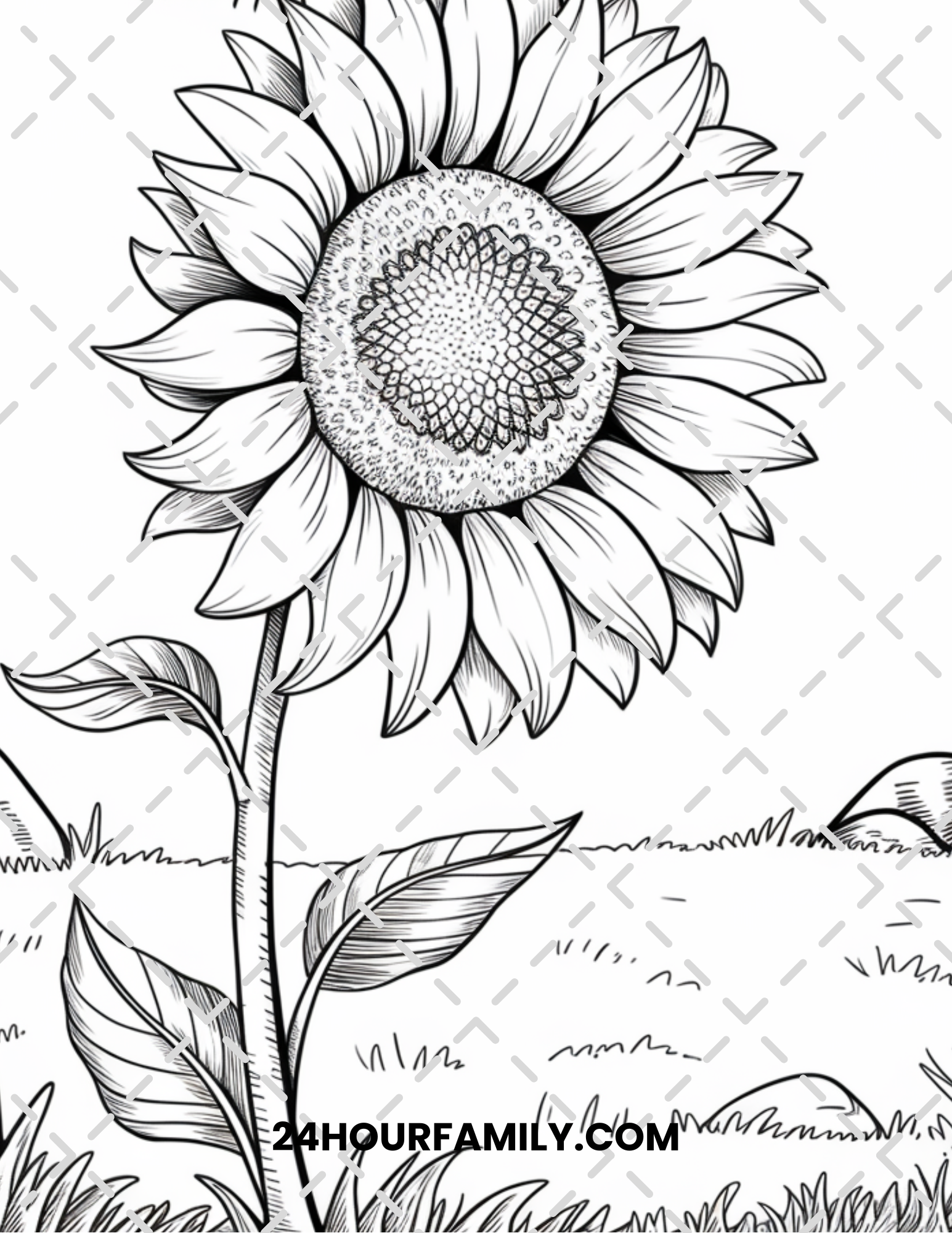 sunflower coloring pages for adult