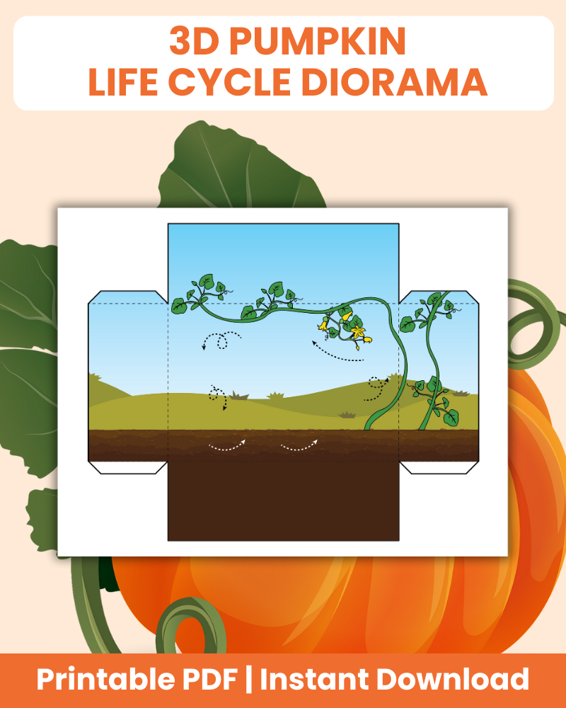 3d pumpkin life cycle diorama printable 