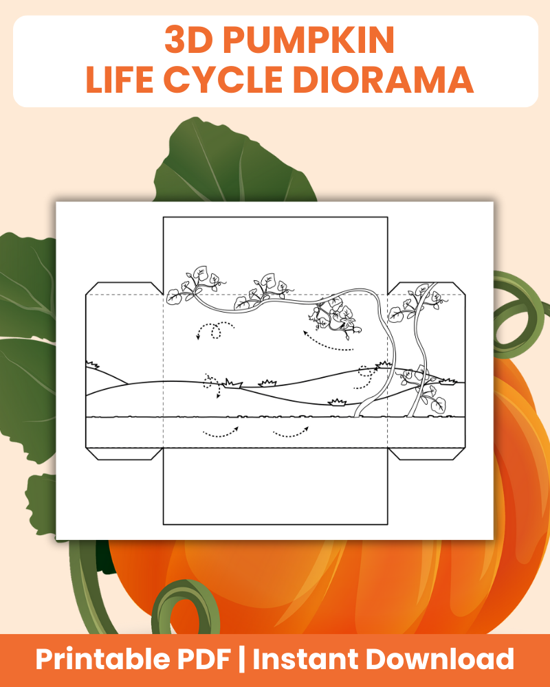 3d pumpkin life cycle diorama printable