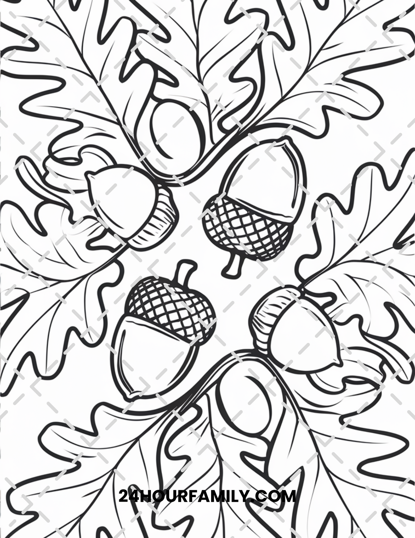 acorn coloring pages