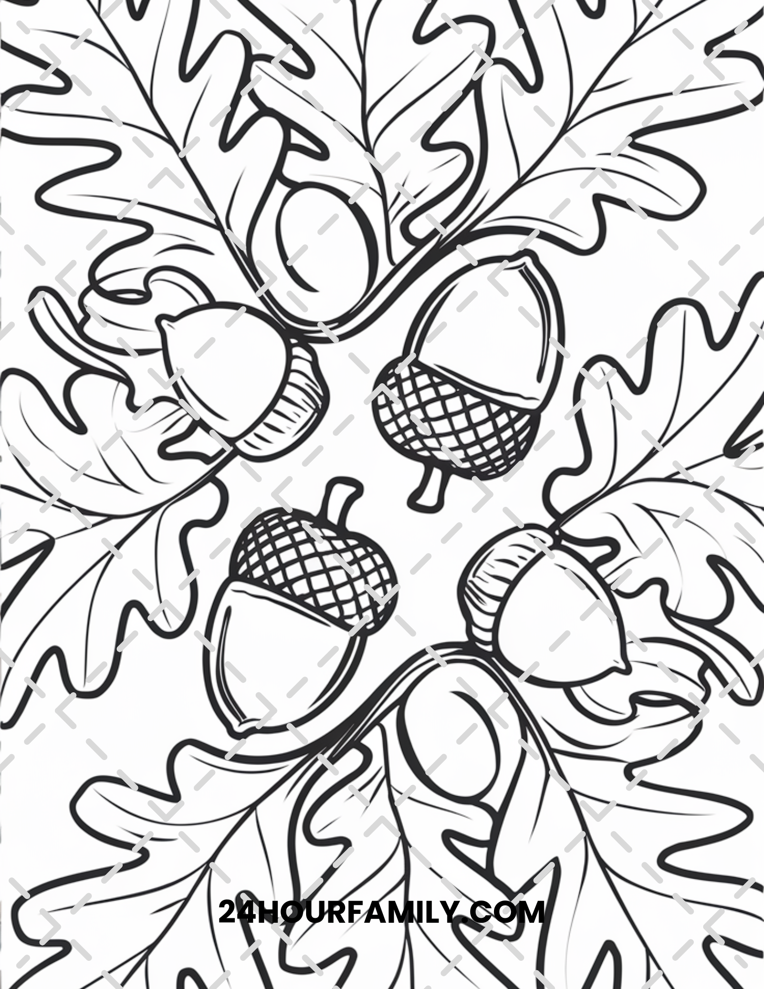 acorn coloring pages