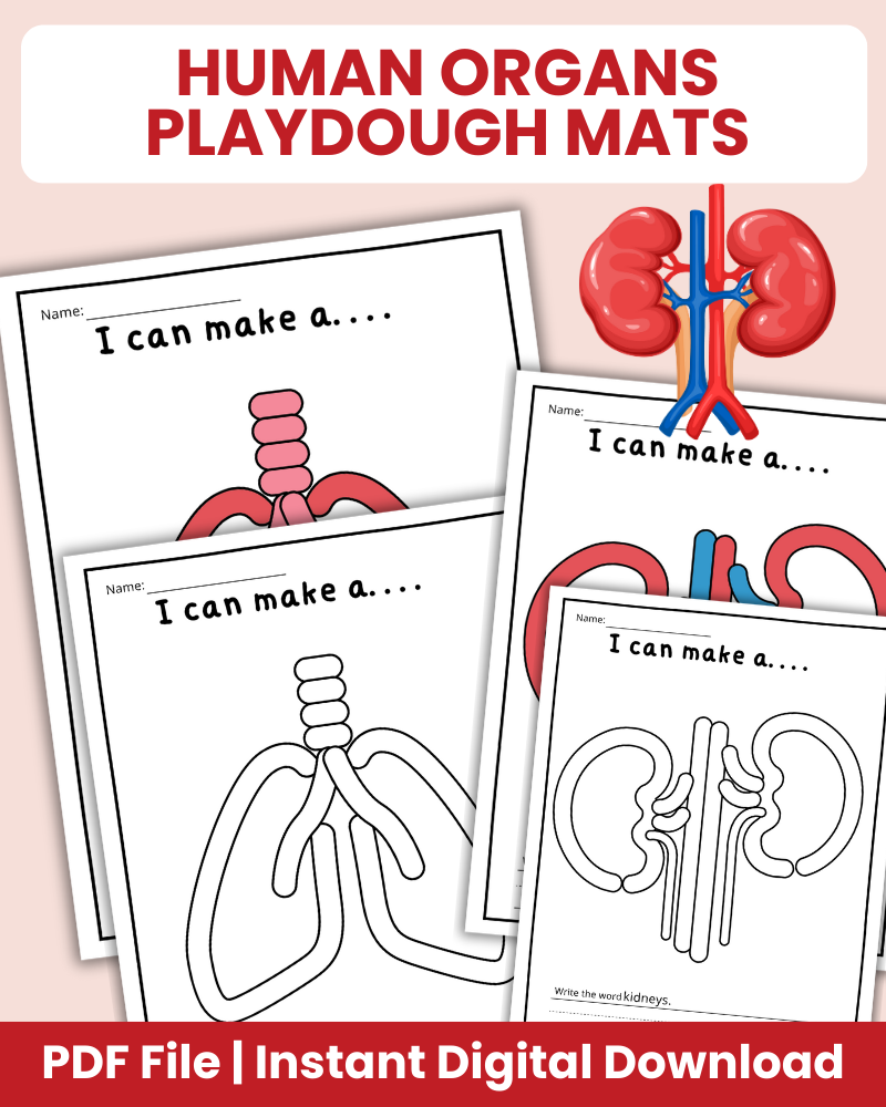 human organs playdough mats