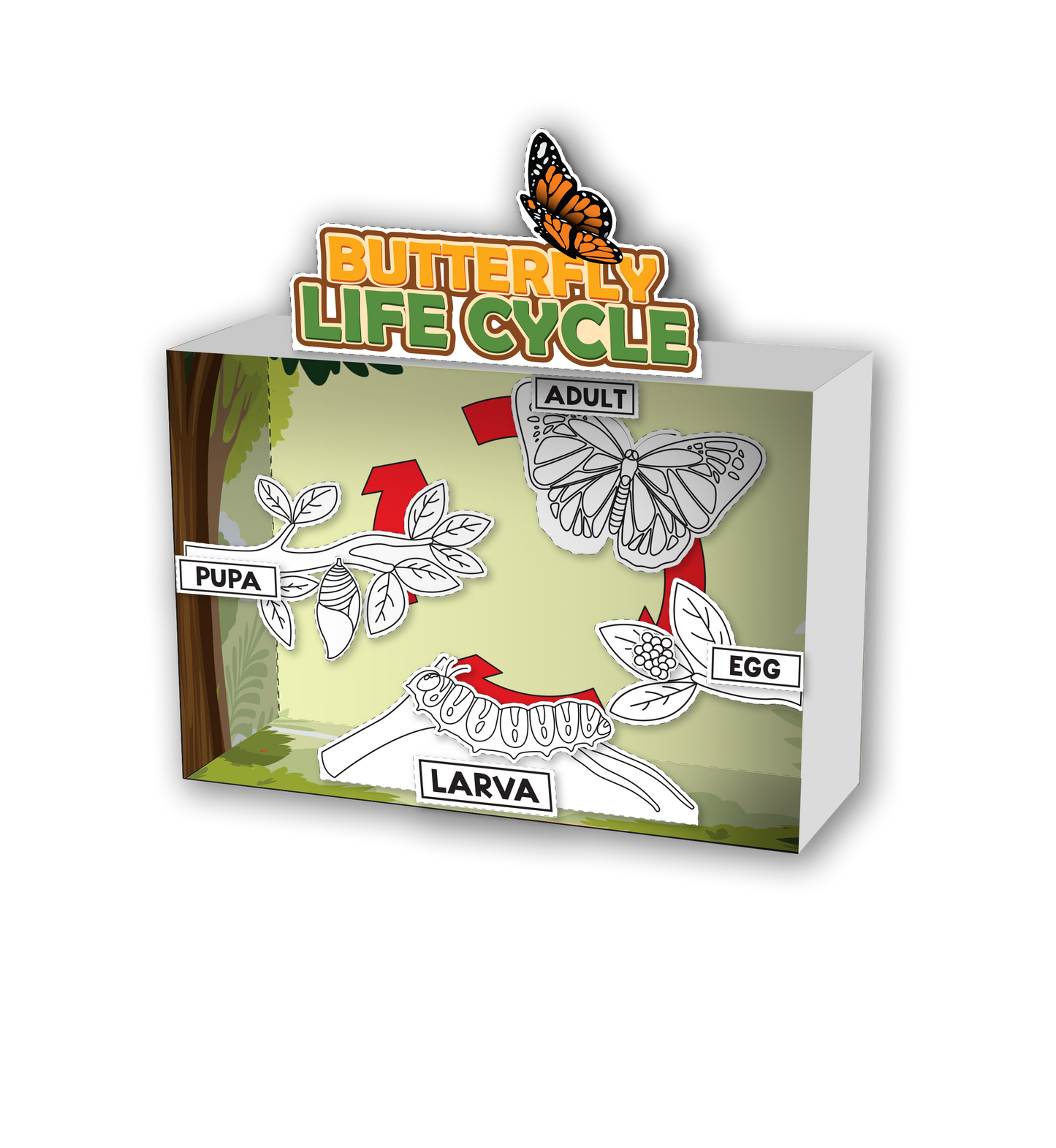 3-D Butterfly Diorama Printable