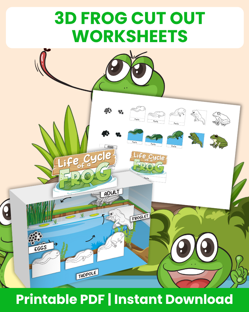 life cycle of a frog printable 