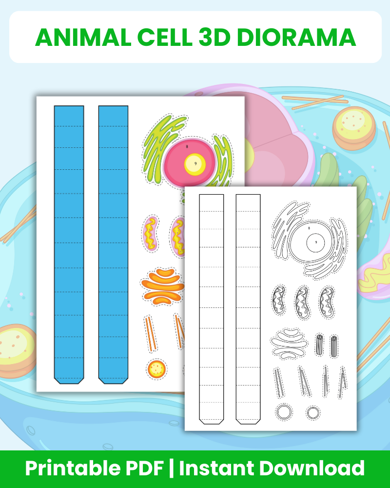 animal cell 3d diorama printable