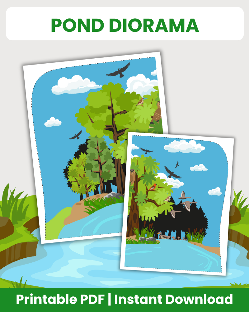 pond diorama printable crafts