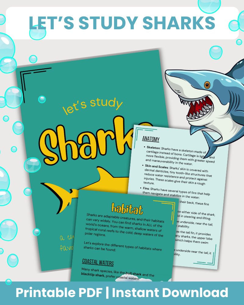 Shark Study Page Example Let's Study Sharks - 75 Pages – 24hourprintables.com