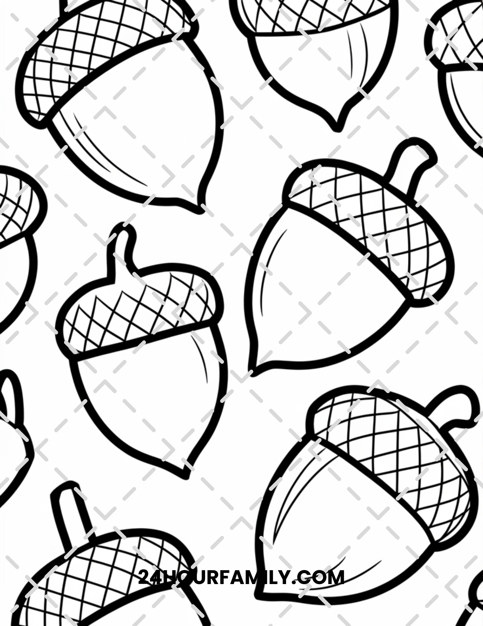 acorn coloring pages