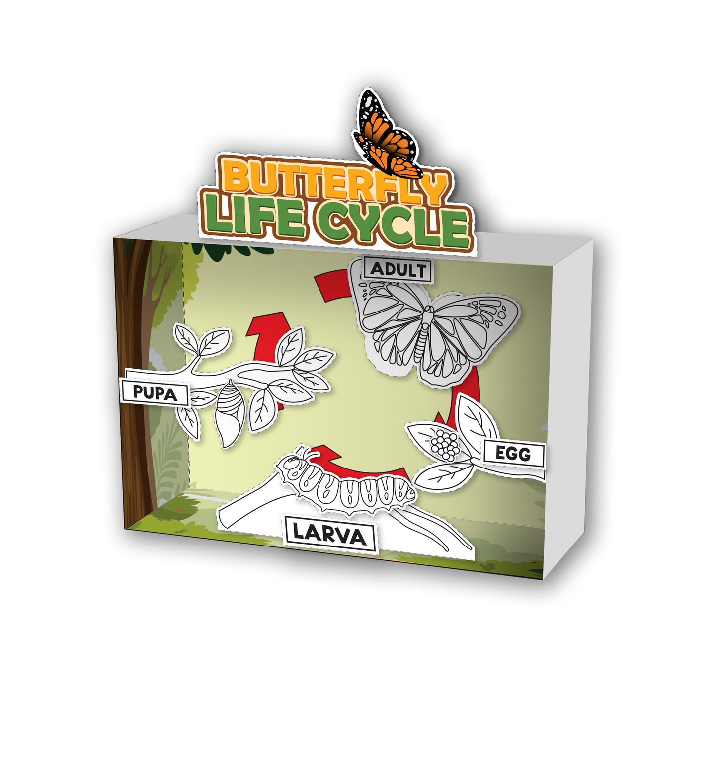 3-D Butterfly Diorama Printable