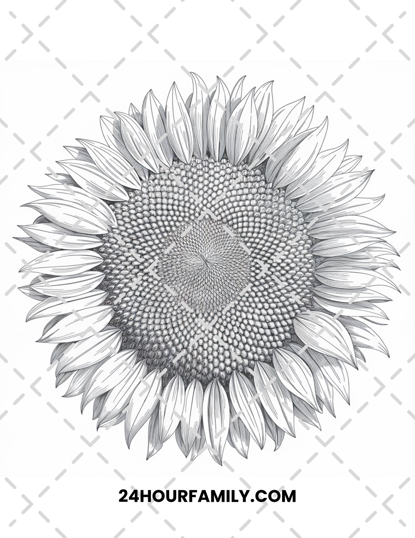 sunflower coloring pages for adult