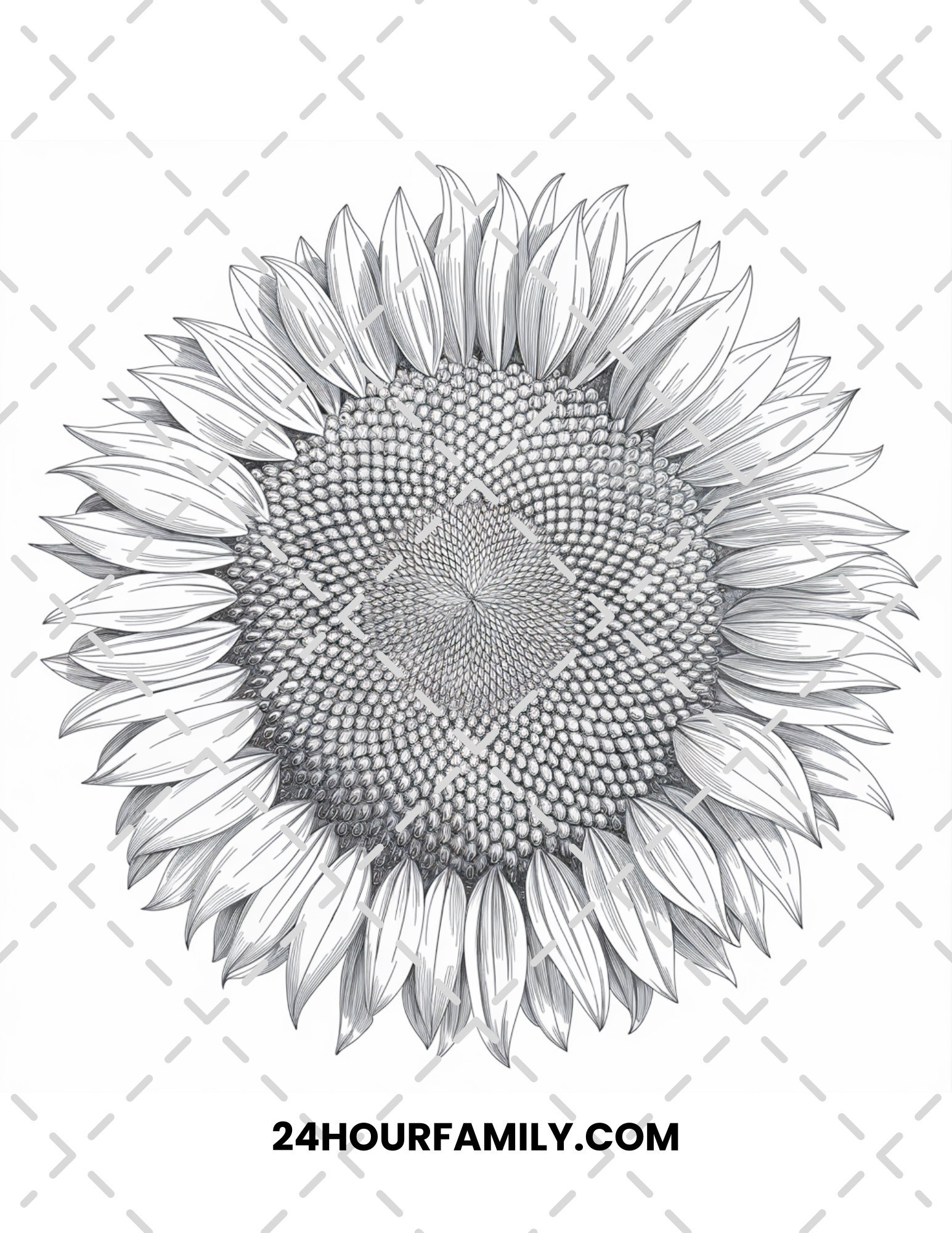 sunflower coloring pages for adult