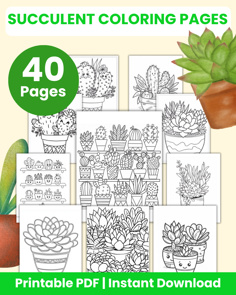 succulent coloring pages