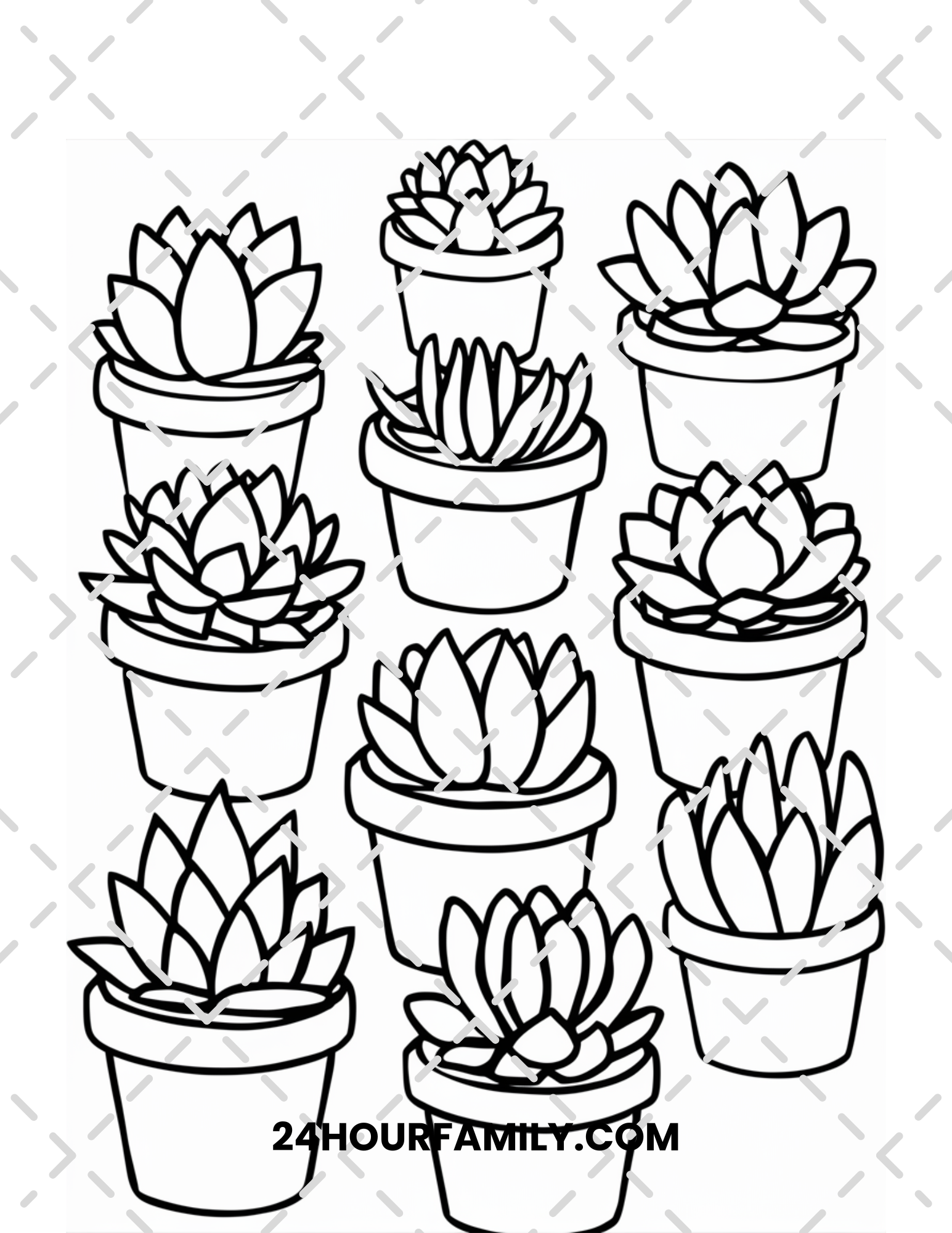 succulent coloring pages