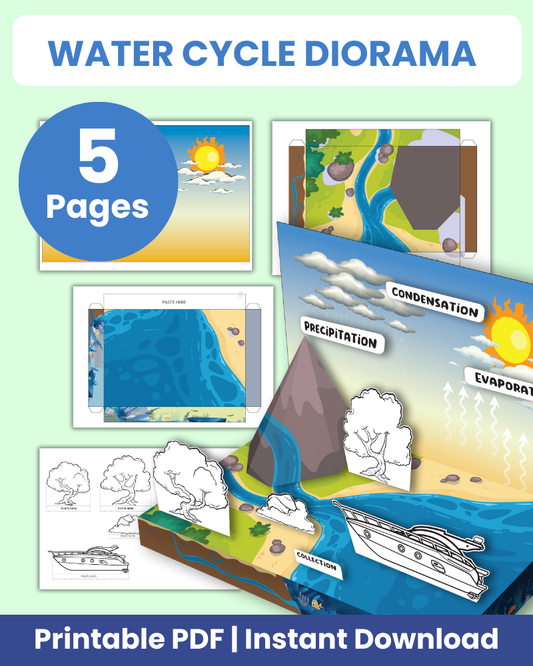 water cycle diorama printable