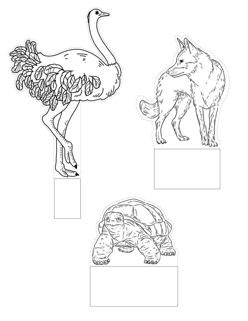 Printable Desert Diorama (10 Pages) – 24hourprintables.com