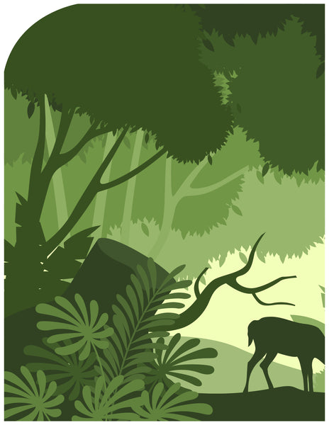 Rainforest Diorama 