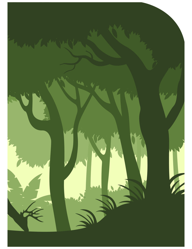 Printable Rainforest Diorama (12 Pages)